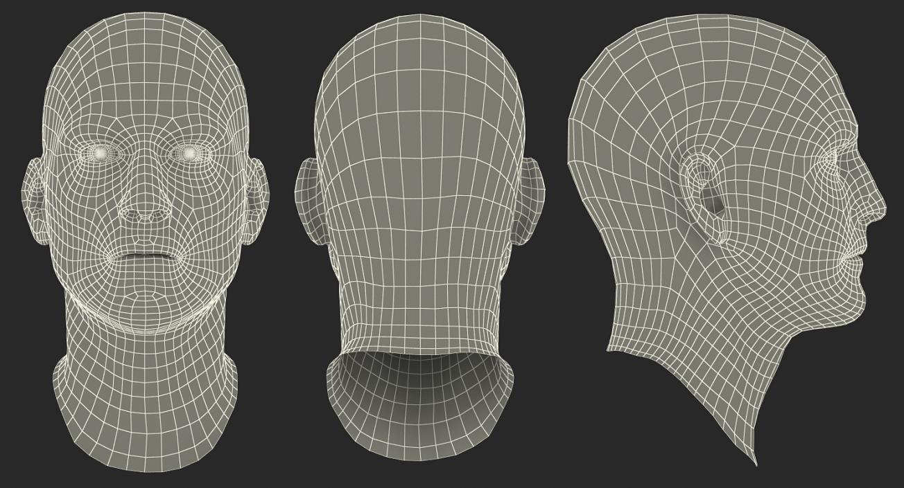 3D Male Head 6 Rigged model
