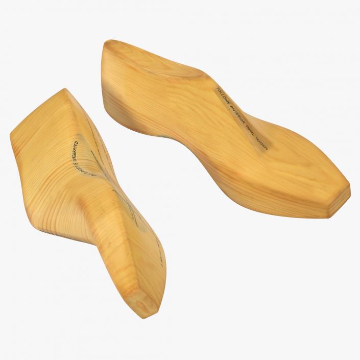 Antique Wooden Shoe Last 3D model