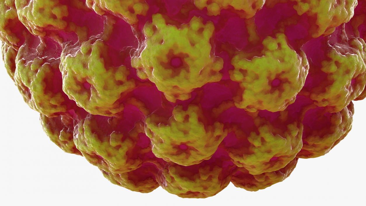 Virus Bacteria 3D model