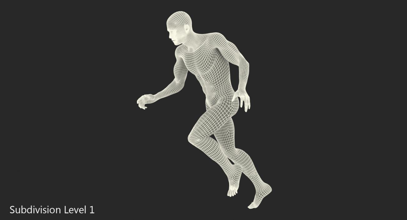 Running Man Muscles Anatomy System 3D model