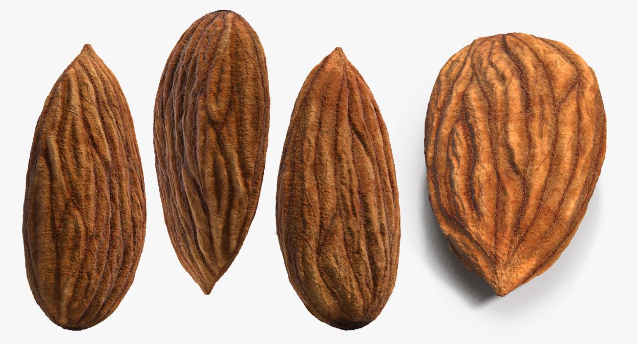 3D model Raw Almond