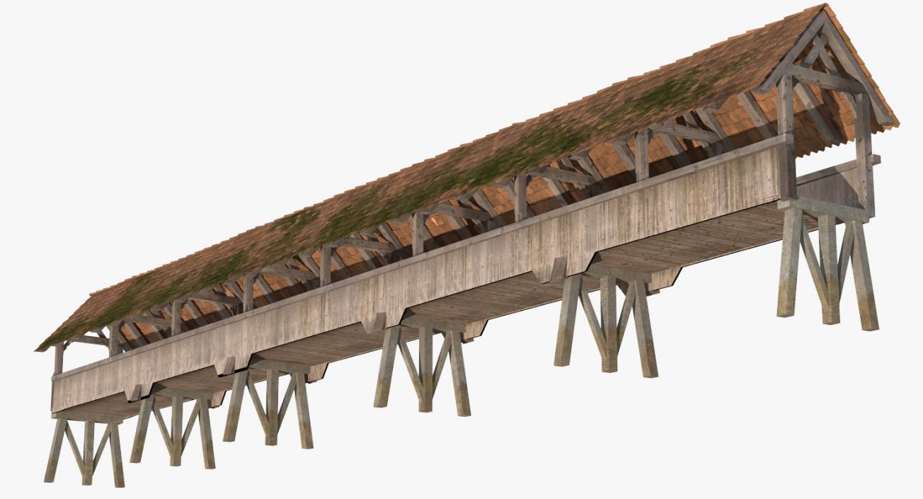 Wooden Footbridge 3D
