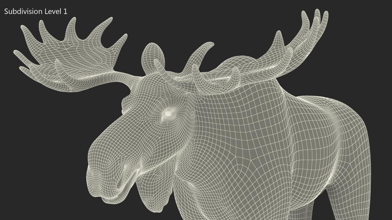 Elk Rigged for Cinema 4D 3D model