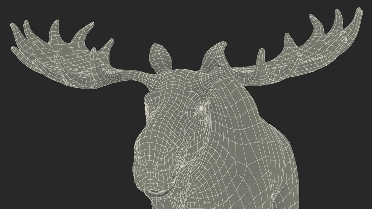 3D Elk No Fur Rigged for Maya