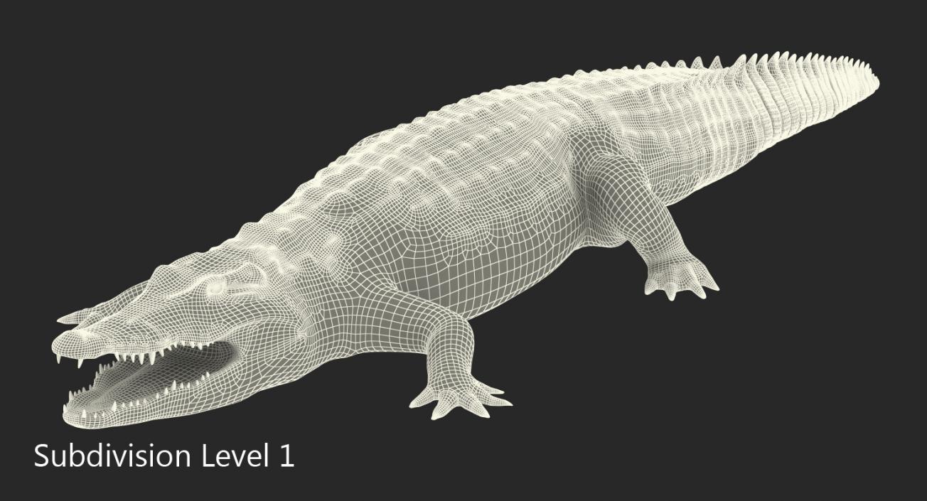 3D Crocodile Rigged