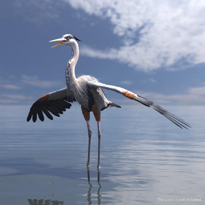 3D Great Blue Heron