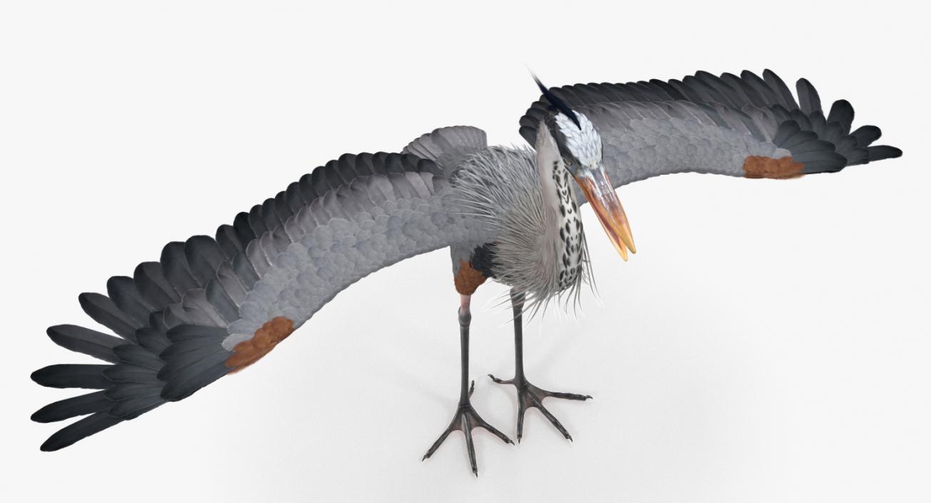 3D Great Blue Heron