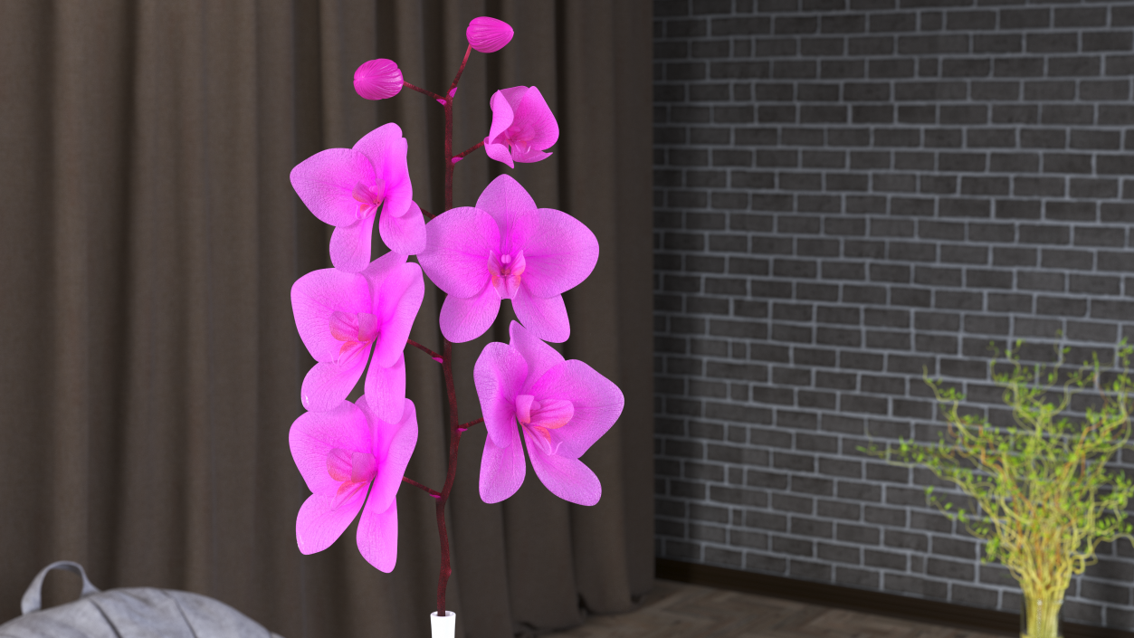 Pink Orchid Stem in Tall Vase 3D model