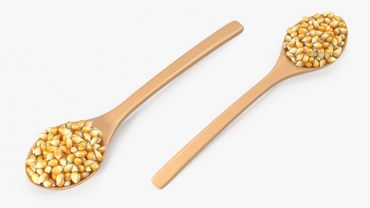 3D Wooden Spoon with Corn Seeds model