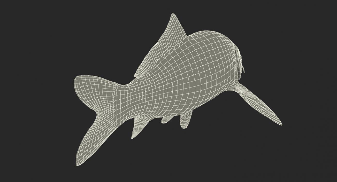 3D model Koi Fish