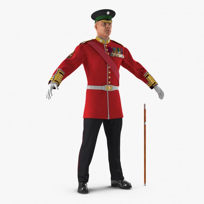 3D model Irish Guard Sergeant