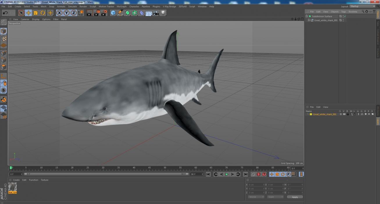 Great White Shark Fish 3D