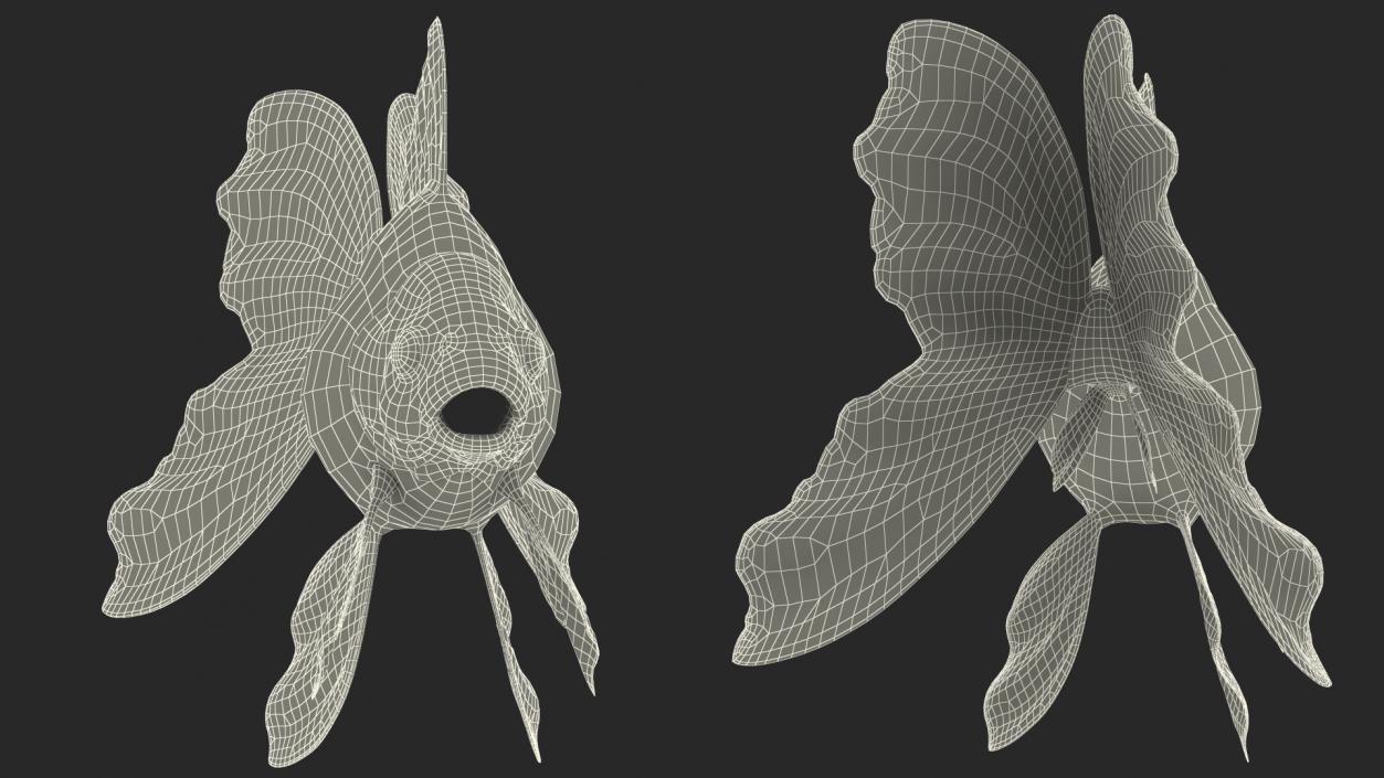 3D model White Goldfish Aquarium Fish Rigged