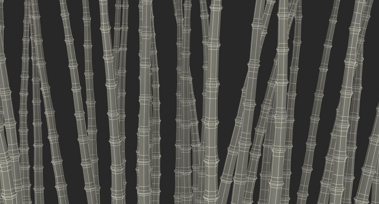 Bamboo Grove 3D