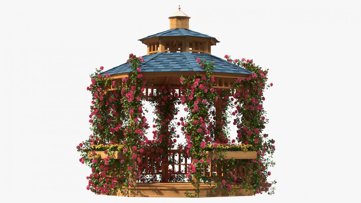 Gazebo Covered with Pink Rose 3D model