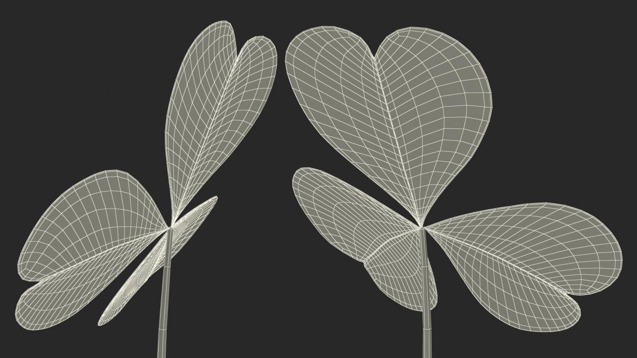 Three Leaf Clover 3D