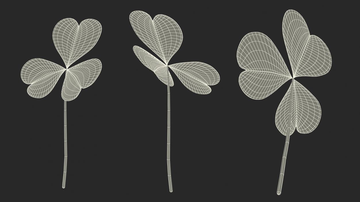 Three Leaf Clover 3D