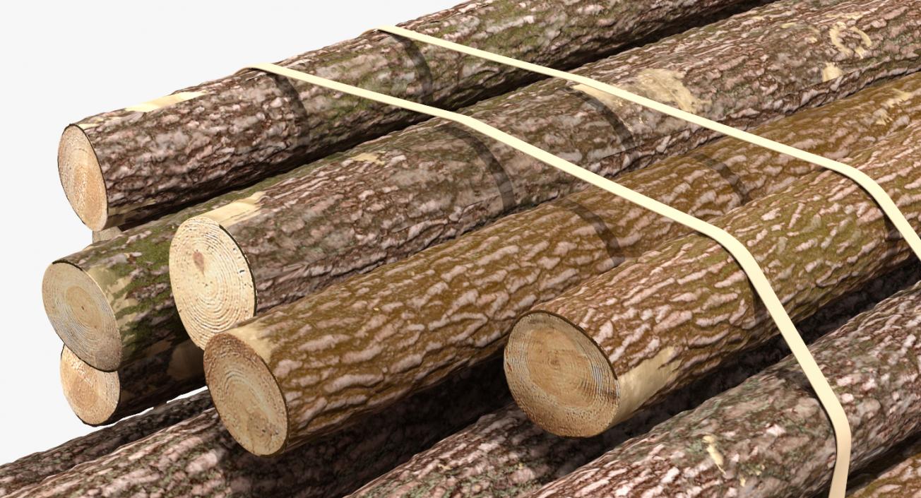 Pile of Wood Logs 3D