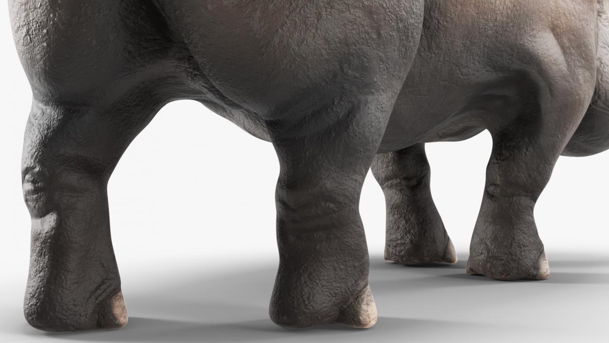 Extinct Giant Rhinoceros Walking Pose 3D