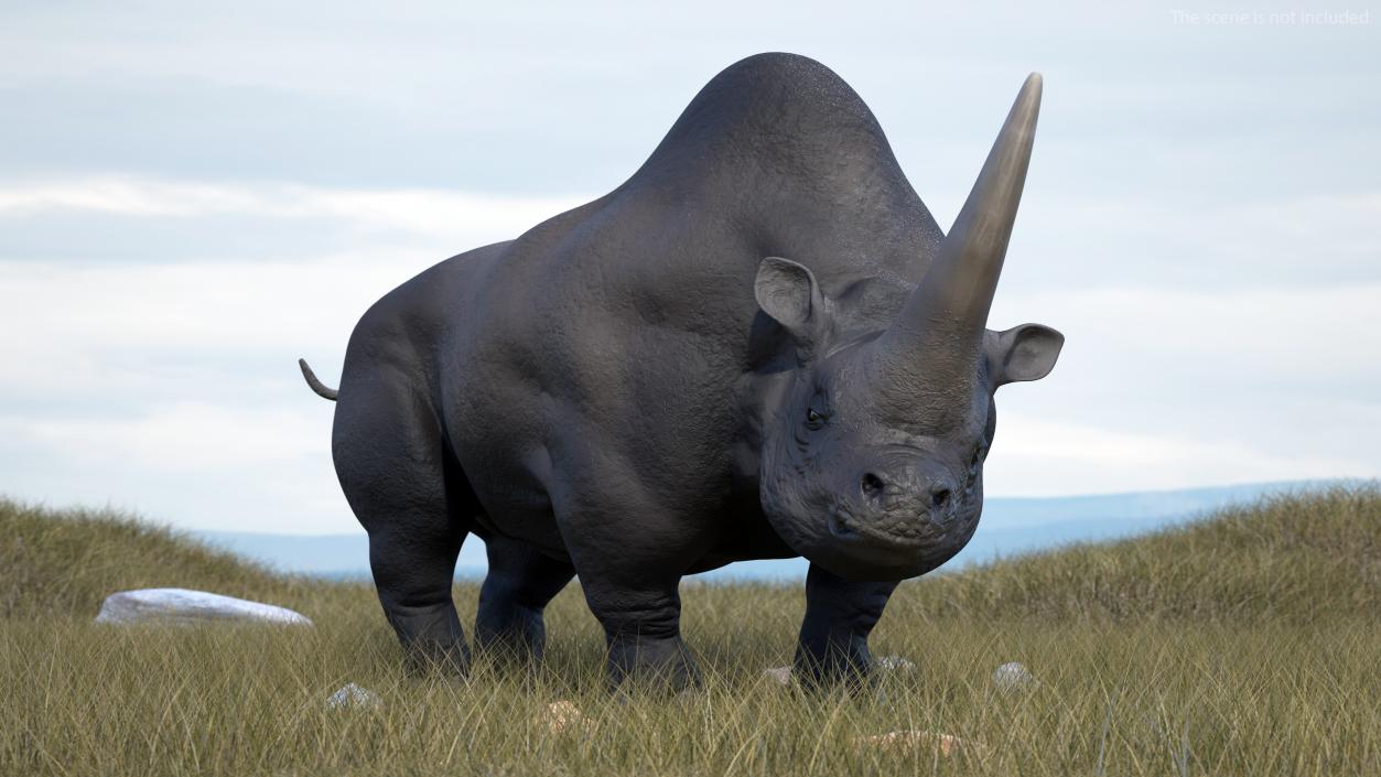 Extinct Giant Rhinoceros Walking Pose 3D