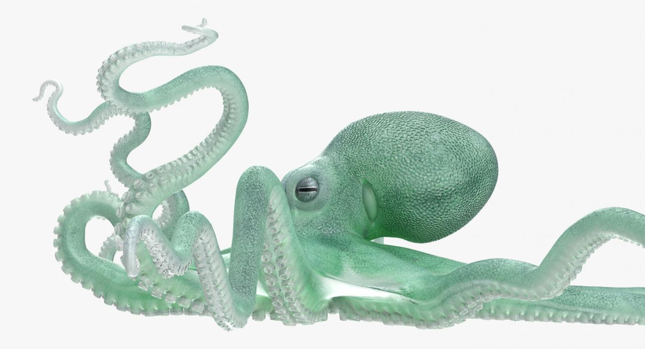 3D Large Blue Octopus model
