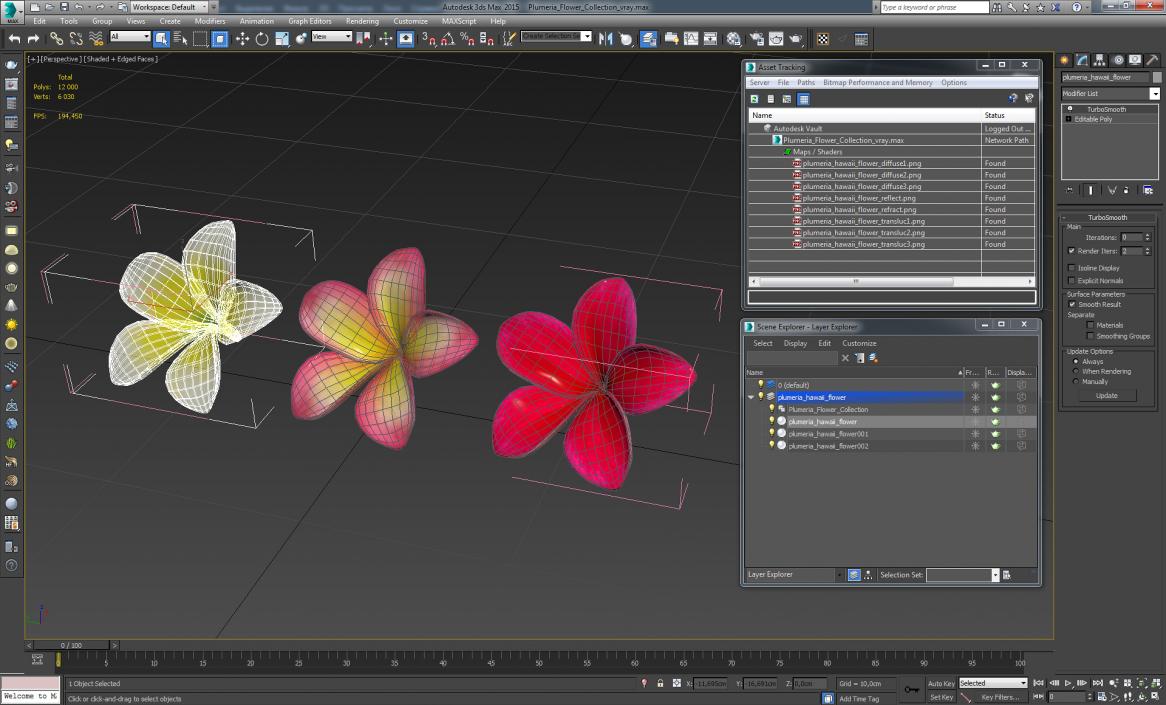 3D Plumeria Flower Collection
