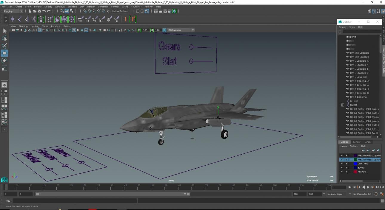 Stealth Multirole Fighter F 35 Lightning II With a Pilot Rigged for Maya 3D
