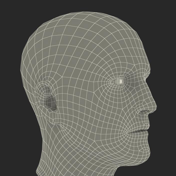3D Male Head 6