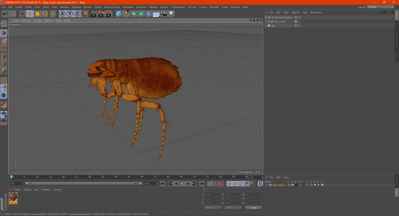 3D Flea Insect