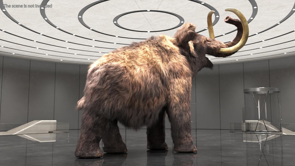 Mammoth Adult Fur Rigged 3D model
