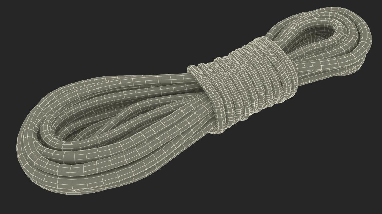 Nylon Climbing Rope 3D model