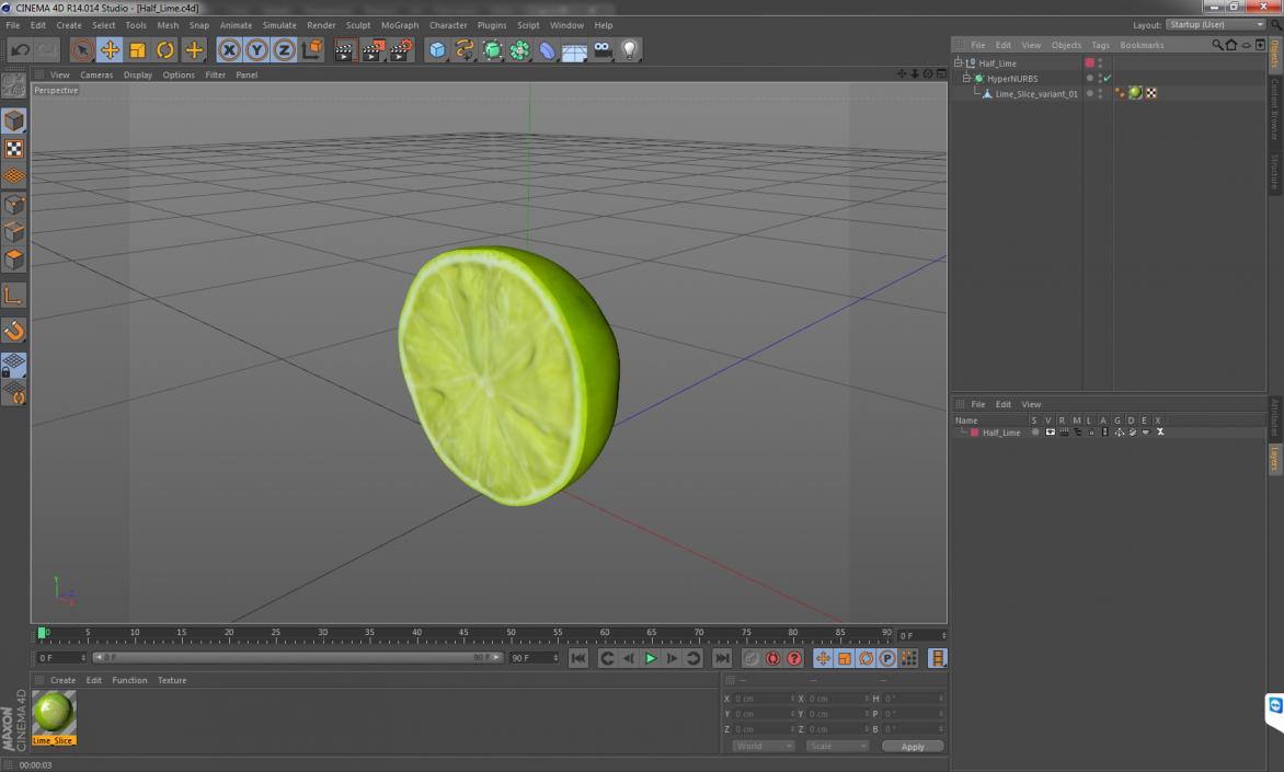 Half Lime 3D model