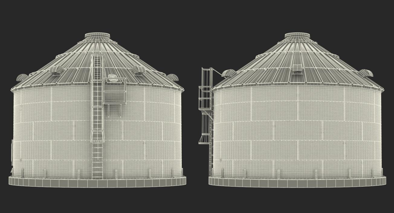 3D Systems for Grain Storage Generic model