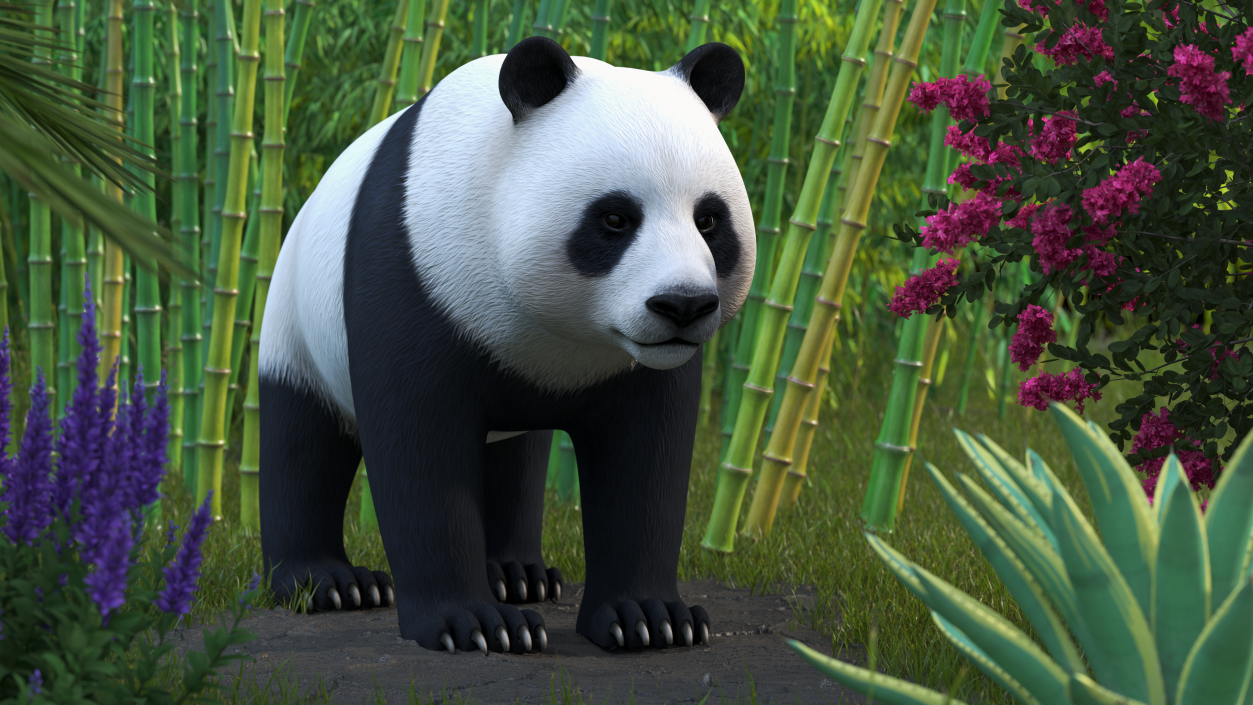 3D Giant Panda