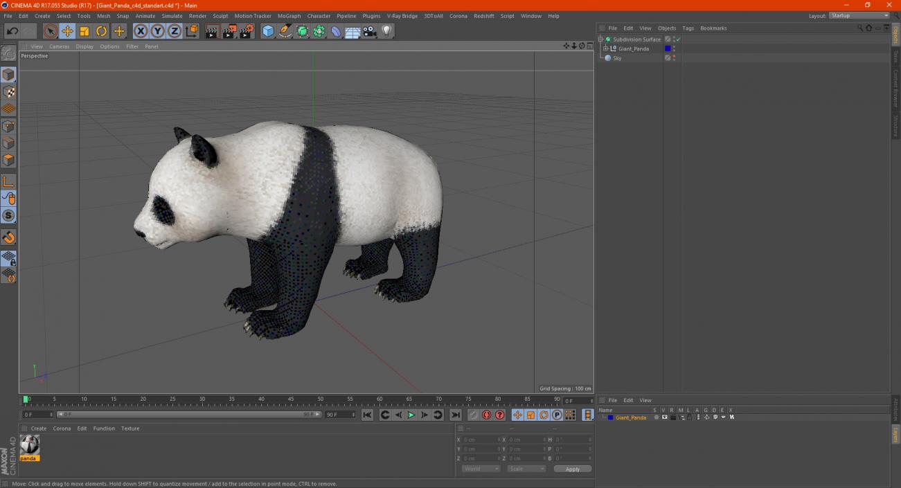 3D Giant Panda