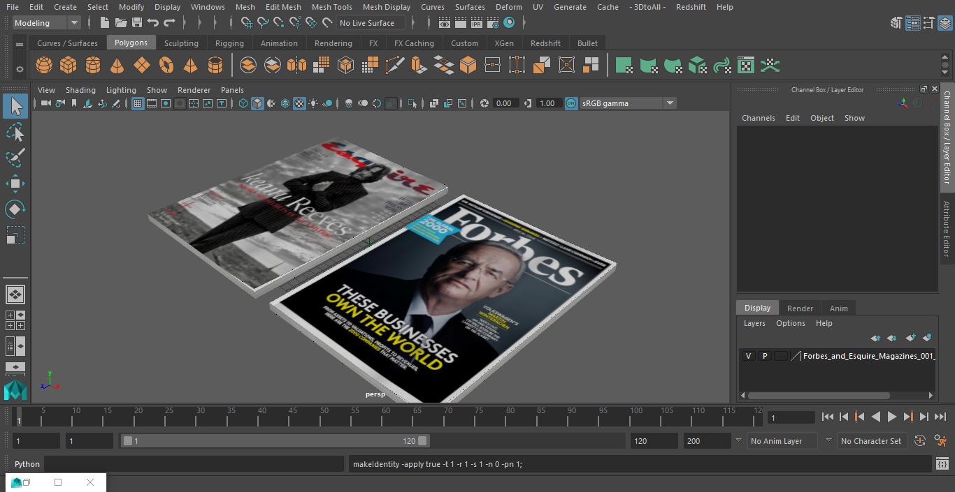 3D Forbes and Esquire Magazines model