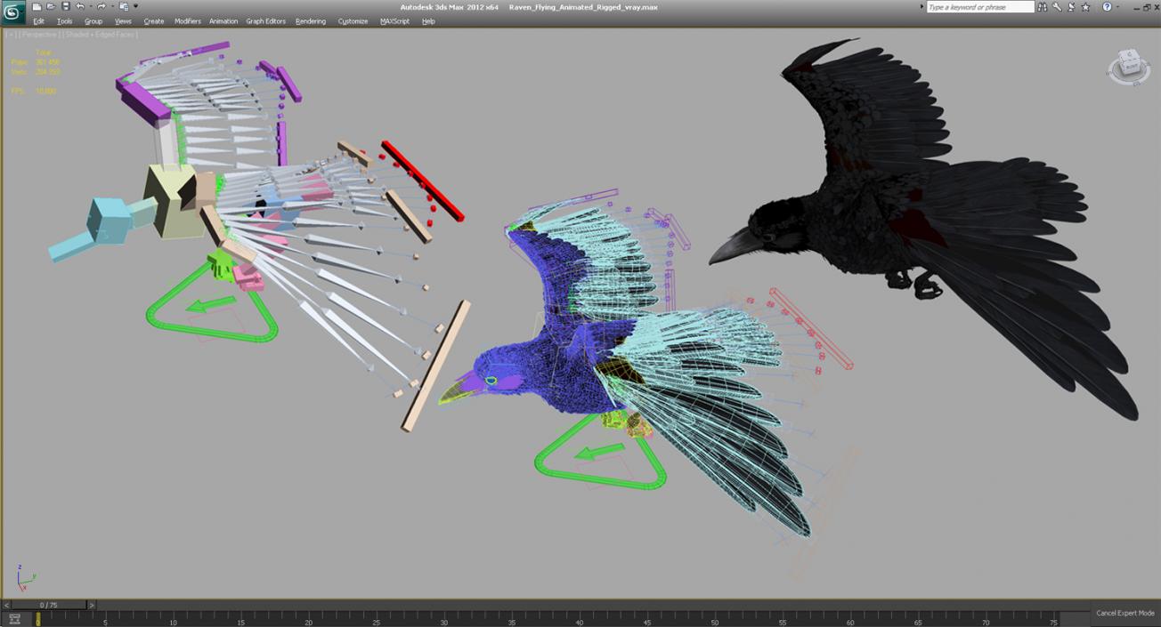 3D Raven Flying Animated Rigged model