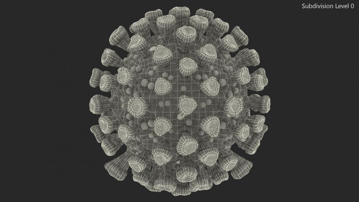 3D model Coronavirus MERS-CoV