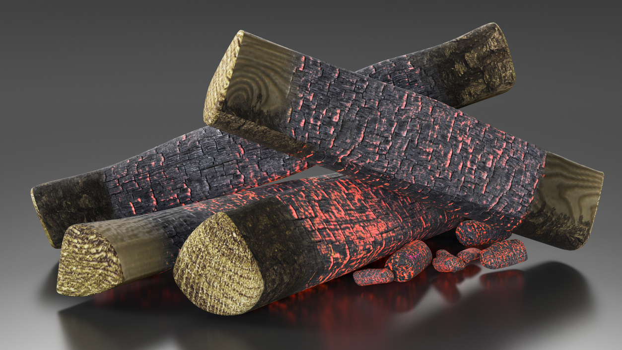 Firewood and Embers 3D model