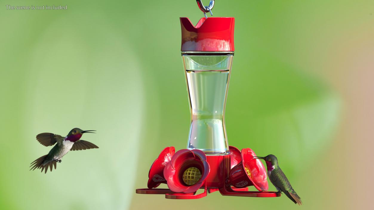 3D model Plastic Feeder for Hummingbird