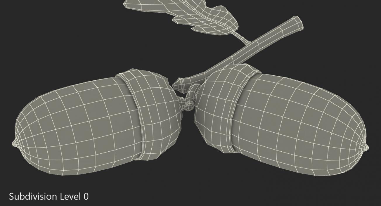 Oak Branch with Acorns 3D