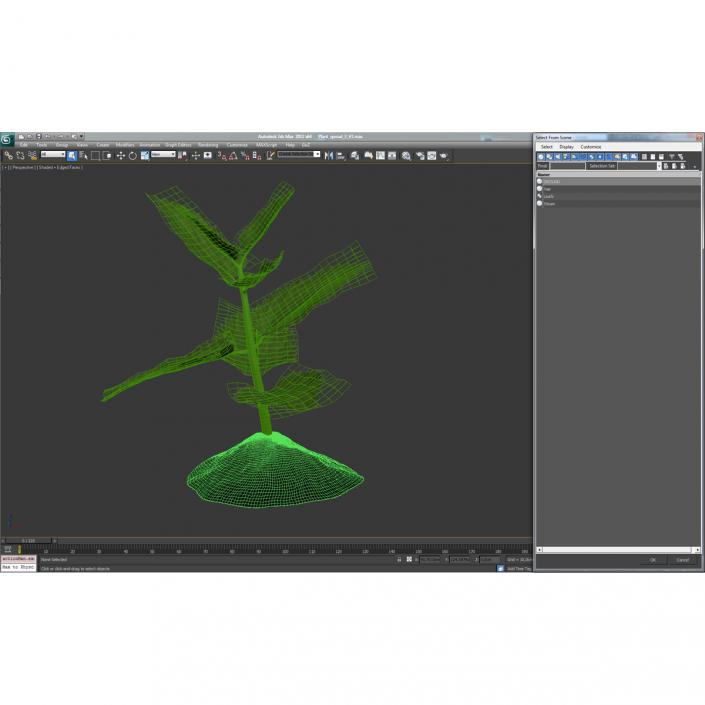 Plant Sprout 3D