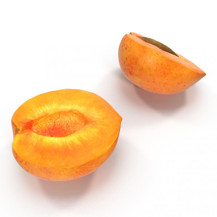 3D Apricot Cross Section