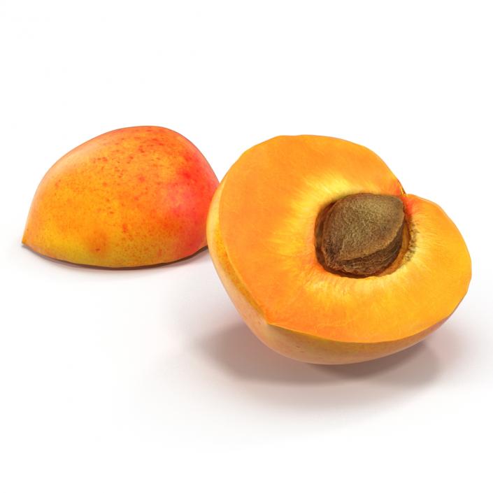3D Apricot Cross Section 3 model