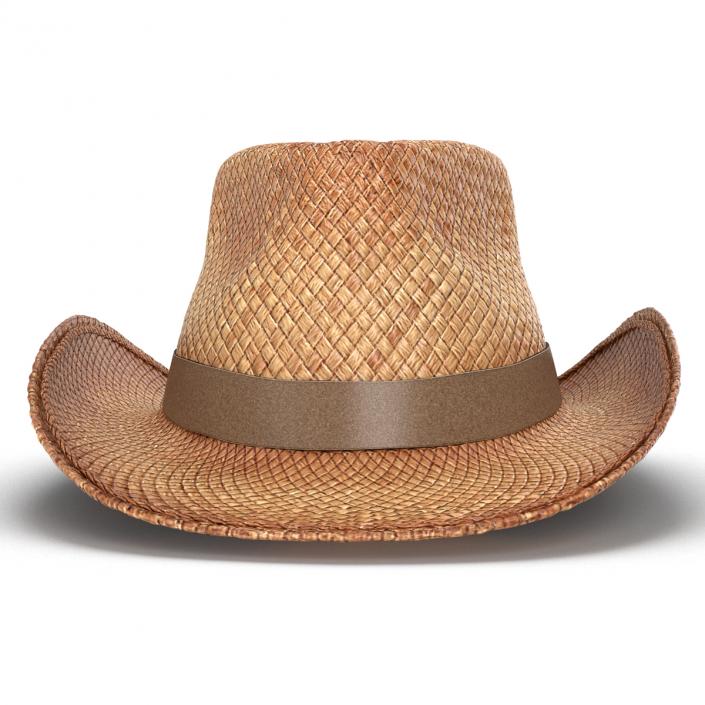 3D Straw Cowboy Hat