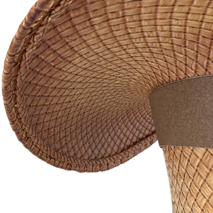 3D Straw Cowboy Hat