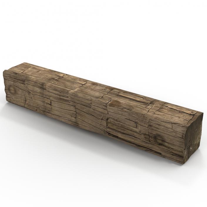 Old Wood Log 3D