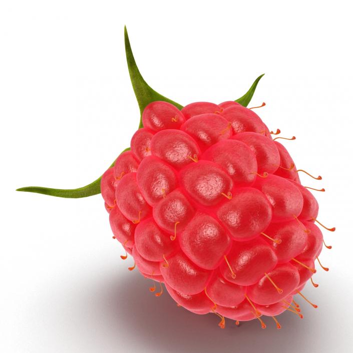 Raspberry 3D model