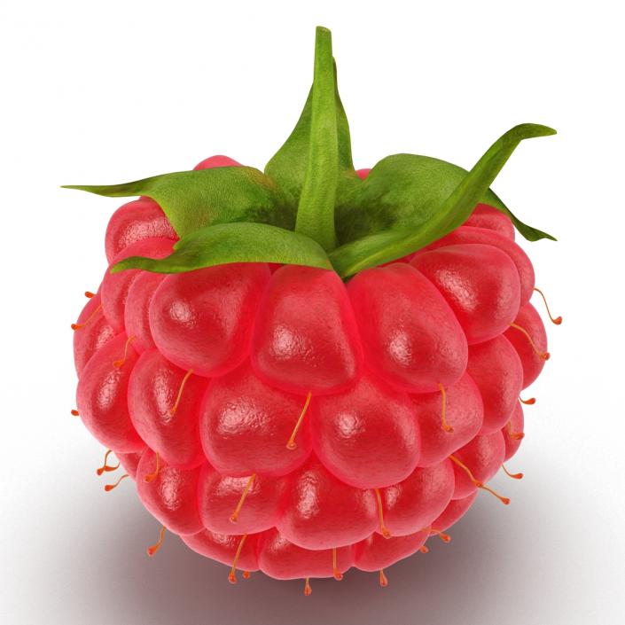 Ripe Raspberry 3D model