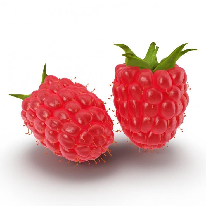 3D model Fresh Ripe Raspberry